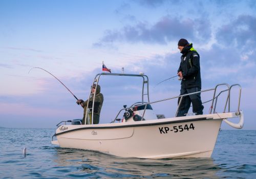 /default/dozivetja/Seafishing Slovenia/